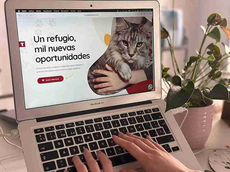 San Bartolomé crea una web para facilitar la adopción responsable y acceder a información sobre mascotas perdidas